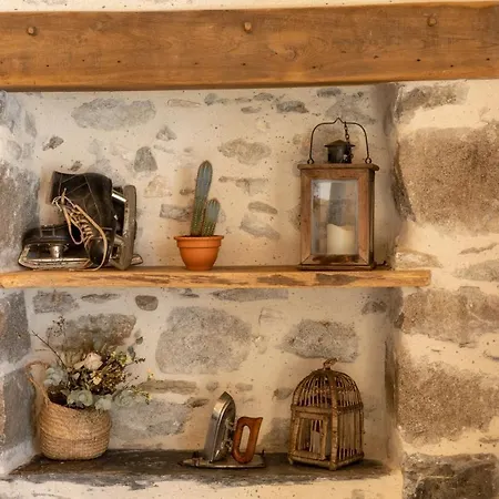 Ou De Caractere Avec Jaccuzi Piscine