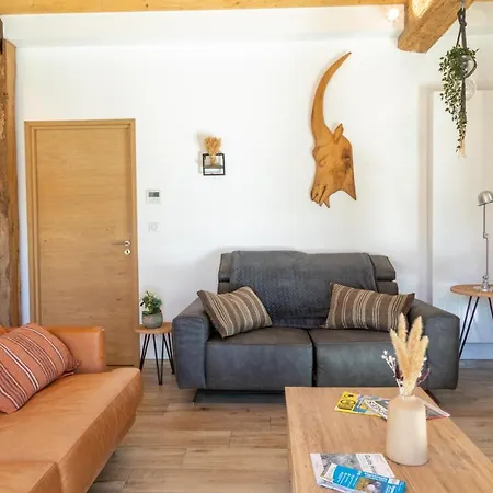 Ou De Caractere Avec Jaccuzi Piscine Tatil Evi