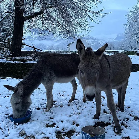 Ou De Caractere Avec Jaccuzi Piscine