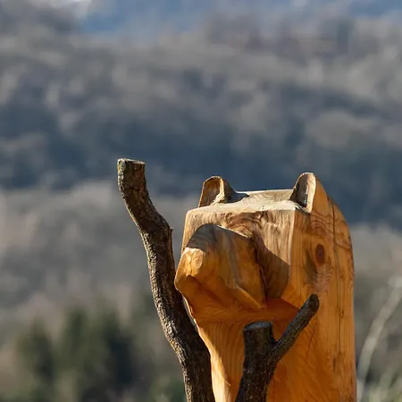 Tatil Evi Ou De Caractere Avec Jaccuzi Piscine *